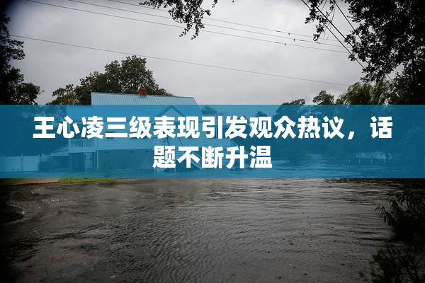 王心凌三级表现引发观众热议，话题不断升温