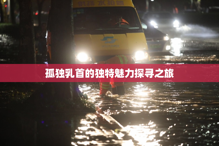 孤独乳首的独特魅力探寻之旅