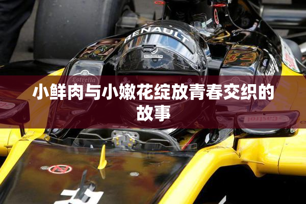 小鲜肉与小嫩花绽放青春交织的故事