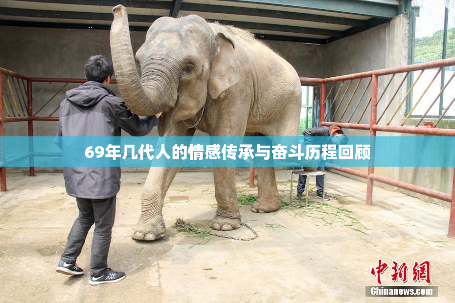 69年几代人的情感传承与奋斗历程回顾