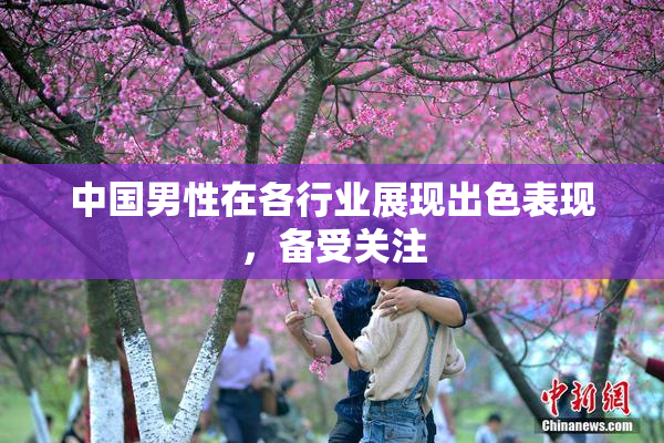 中国男性在各行业展现出色表现，备受关注
