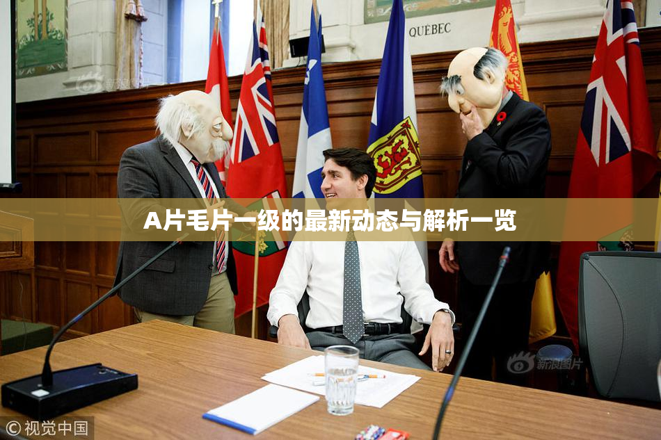 A片毛片一级的最新动态与解析一览