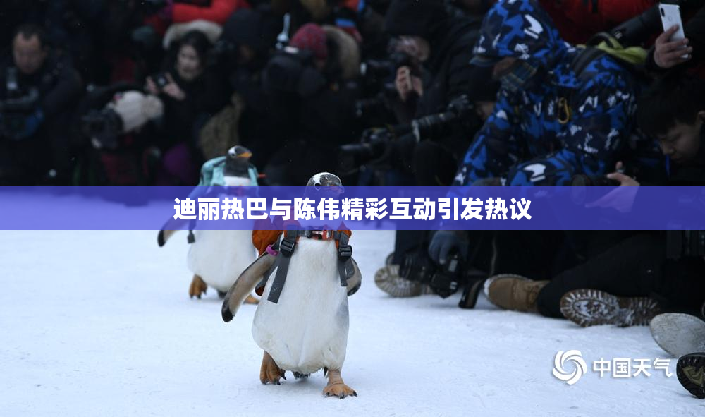 迪丽热巴与陈伟精彩互动引发热议