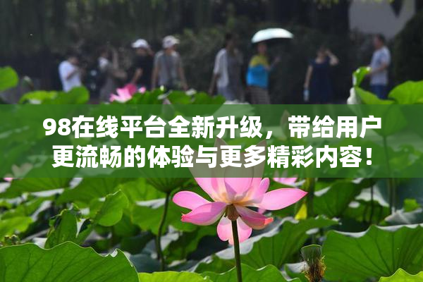 98在线平台全新升级，带给用户更流畅的体验与更多精彩内容！