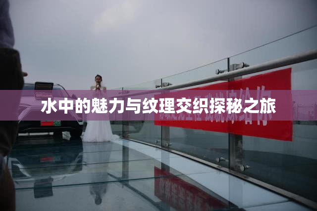 水中的魅力与纹理交织探秘之旅