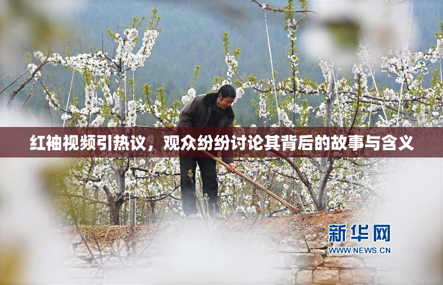 红袖视频引热议，观众纷纷讨论其背后的故事与含义