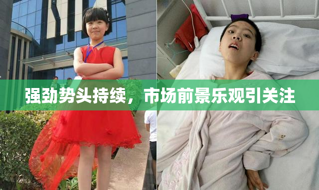 强劲势头持续，市场前景乐观引关注