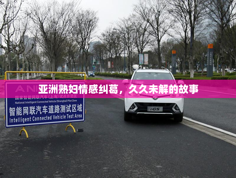 亚洲熟妇情感纠葛，久久未解的故事