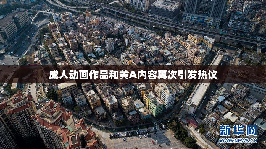 成人动画作品和黄A内容再次引发热议