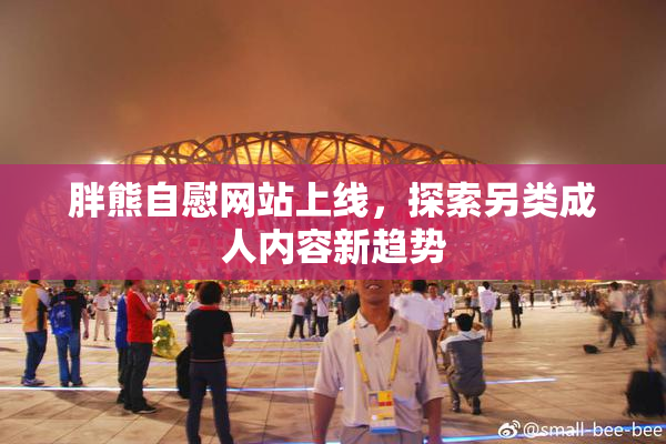 胖熊自慰网站上线，探索另类成人内容新趋势