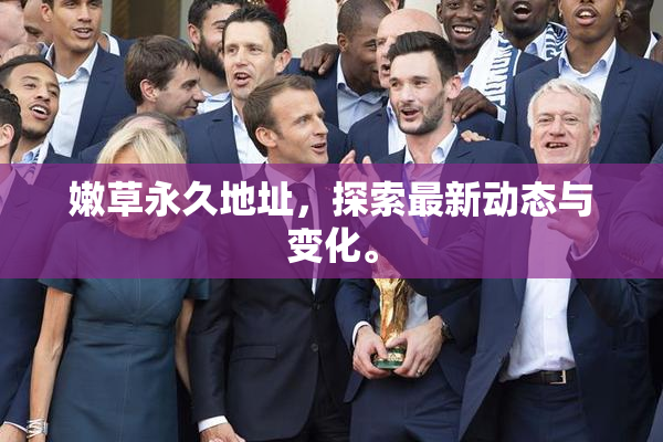 嫩草永久地址，探索最新动态与变化。