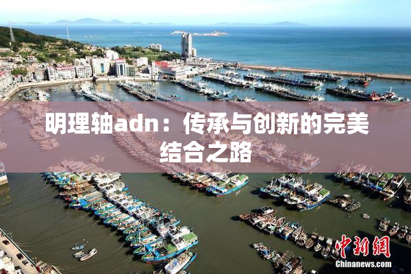 明理轴adn：传承与创新的完美结合之路