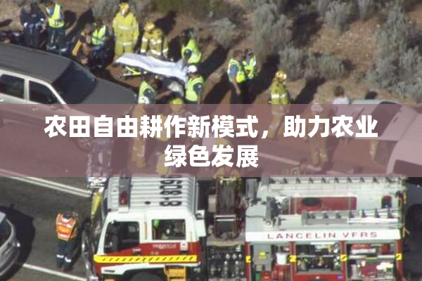 农田自由耕作新模式，助力农业绿色发展