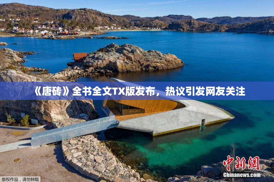 《唐砖》全书全文TX版发布，热议引发网友关注