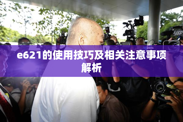 e621的使用技巧及相关注意事项解析