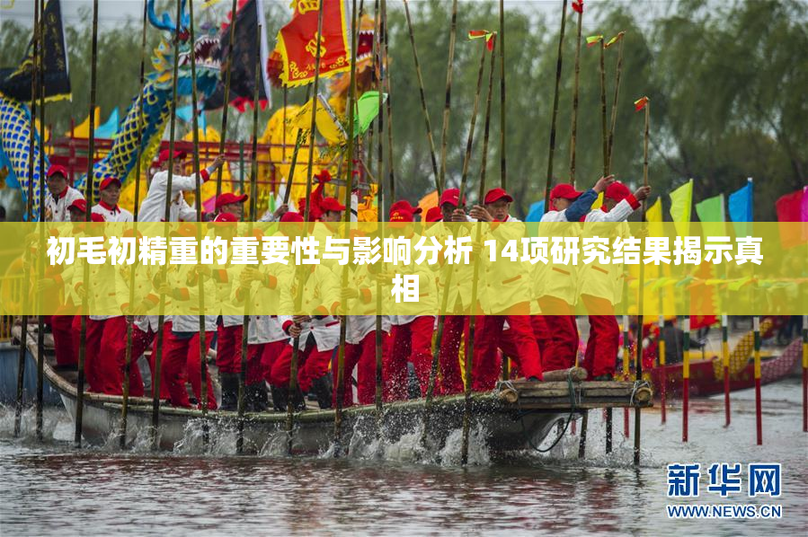 初毛初精重的重要性与影响分析 14项研究结果揭示真相