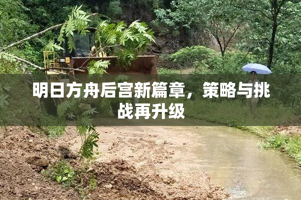 明日方舟后宫新篇章，策略与挑战再升级