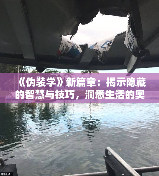 《伪装学》新篇章：揭示隐藏的智慧与技巧，洞悉生活的奥秘。