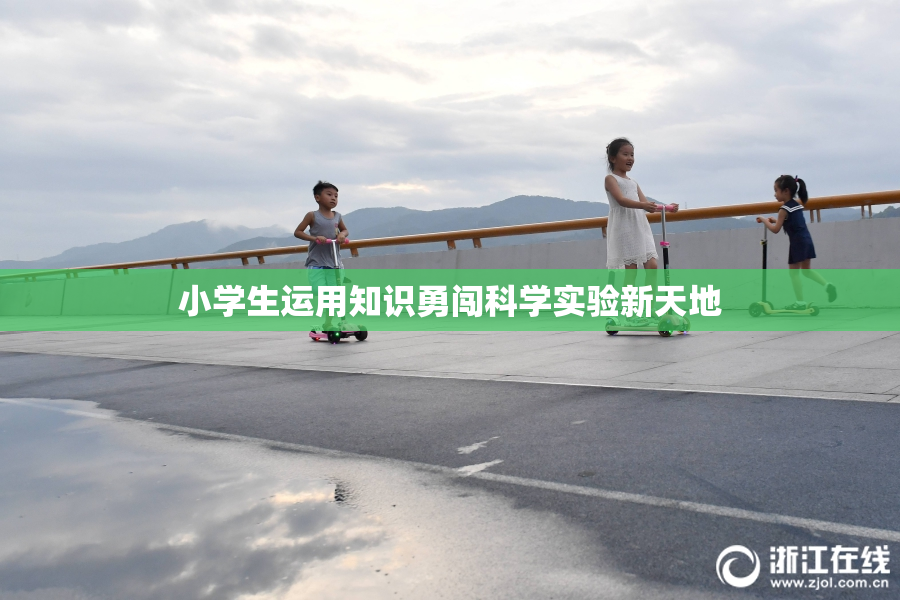 小学生运用知识勇闯科学实验新天地