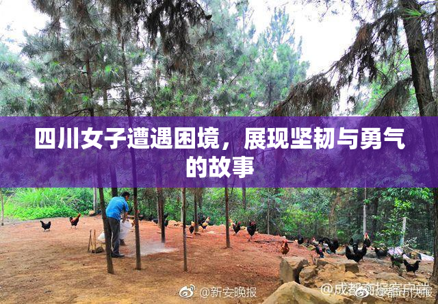 四川女子遭遇困境，展现坚韧与勇气的故事