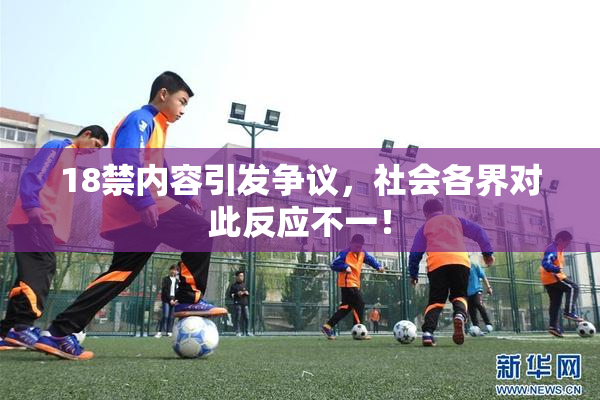 18禁内容引发争议，社会各界对此反应不一！