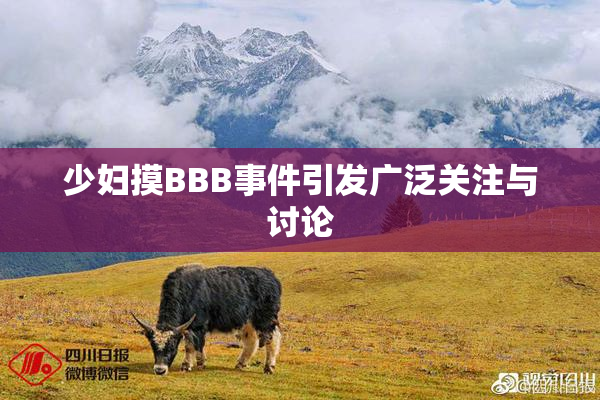 少妇摸BBB事件引发广泛关注与讨论