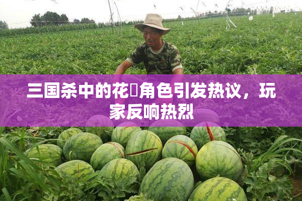三国杀中的花鬘角色引发热议，玩家反响热烈