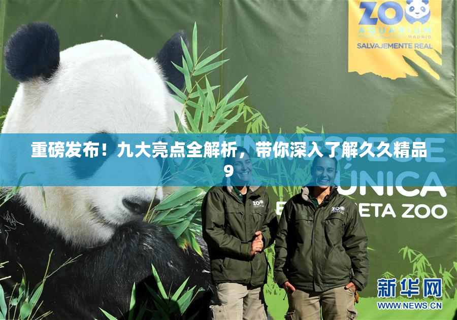 重磅发布！九大亮点全解析，带你深入了解久久精品9