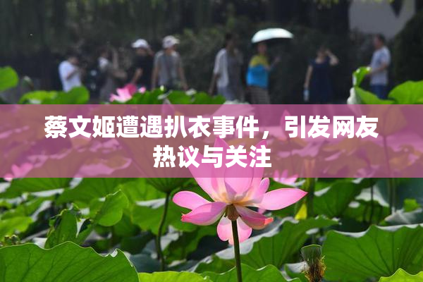 蔡文姬遭遇扒衣事件，引发网友热议与关注