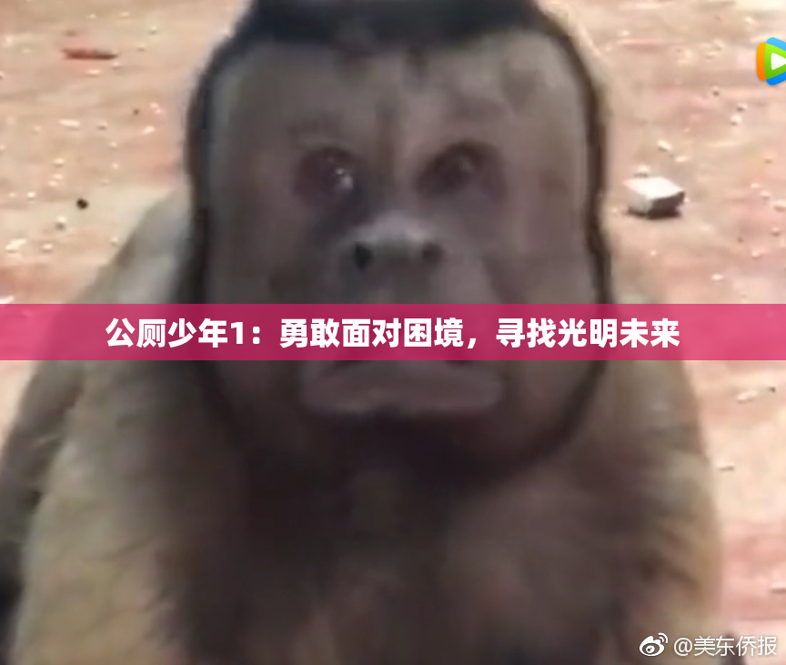 公厕少年1：勇敢面对困境，寻找光明未来