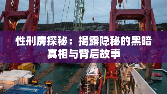 性刑房探秘：揭露隐秘的黑暗真相与背后故事