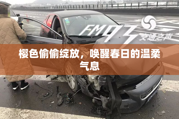 樱色偷偷绽放，唤醒春日的温柔气息