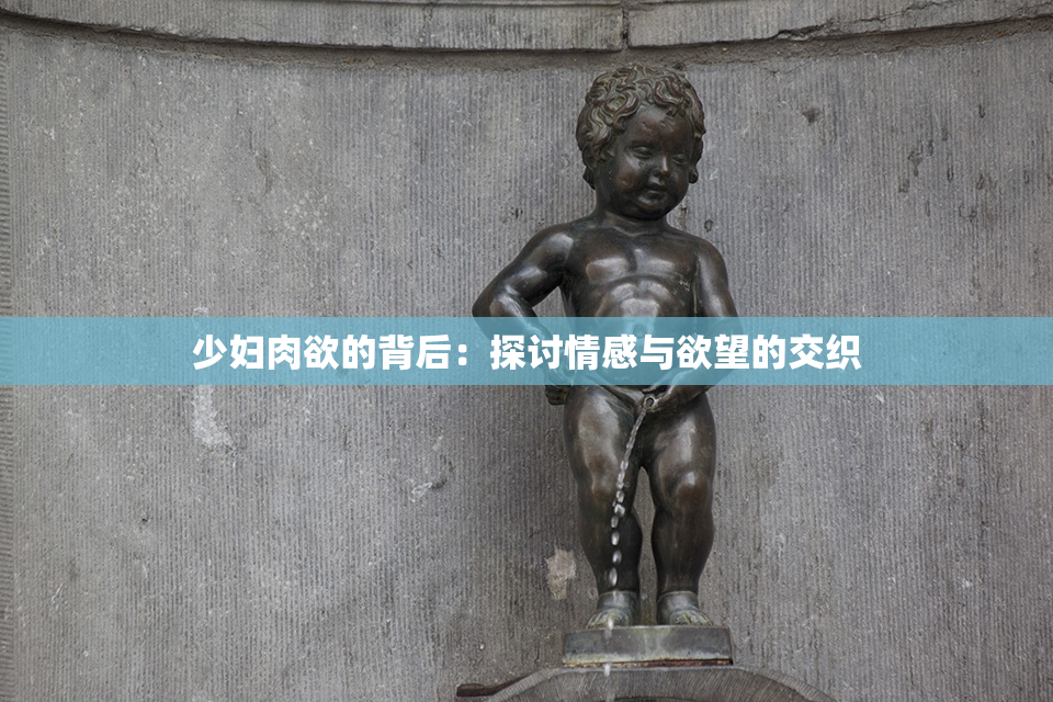 少妇肉欲的背后：探讨情感与欲望的交织