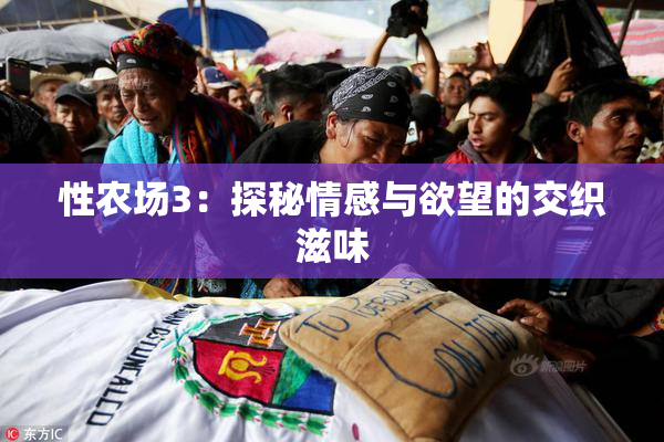 性农场3：探秘情感与欲望的交织滋味