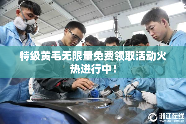 特级黄毛无限量免费领取活动火热进行中！