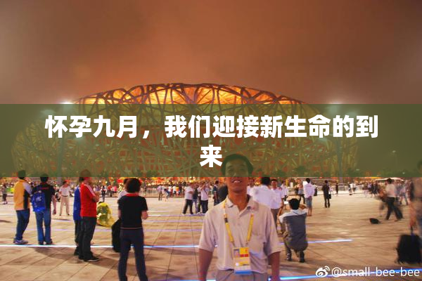 怀孕九月，我们迎接新生命的到来