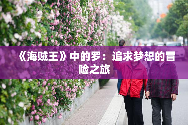 《海贼王》中的罗：追求梦想的冒险之旅