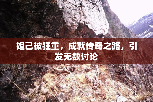 妲己被狂重，成就传奇之路，引发无数讨论