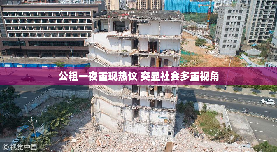 公粗一夜重现热议 突显社会多重视角
