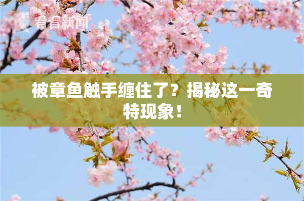 被章鱼触手缠住了？揭秘这一奇特现象！