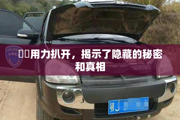 妺妺用力扒开，揭示了隐藏的秘密和真相