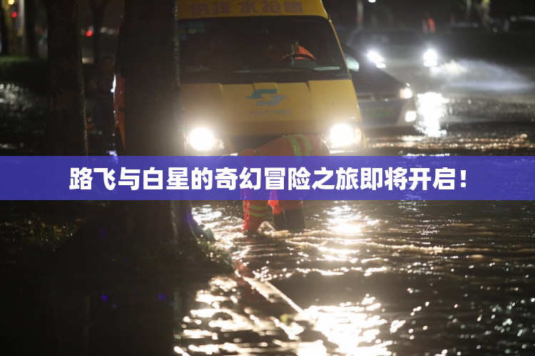 路飞与白星的奇幻冒险之旅即将开启！