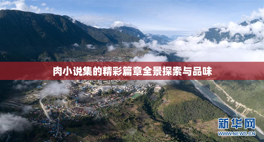 肉小说集的精彩篇章全景探索与品味