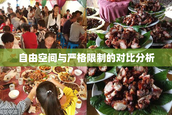 自由空间与严格限制的对比分析