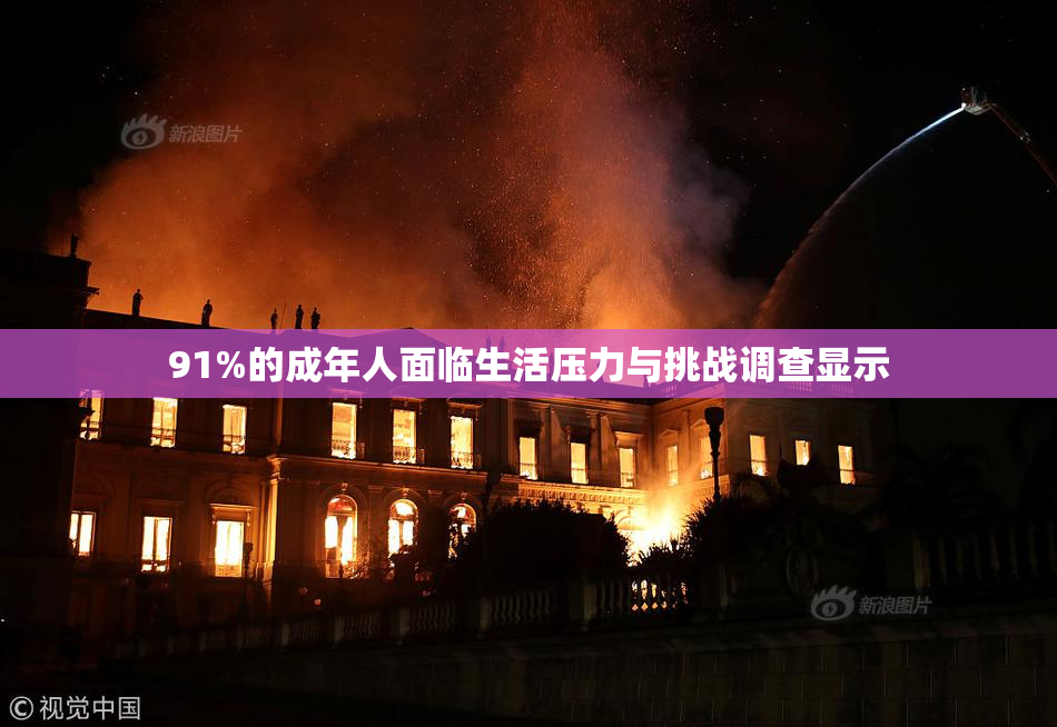 91%的成年人面临生活压力与挑战调查显示