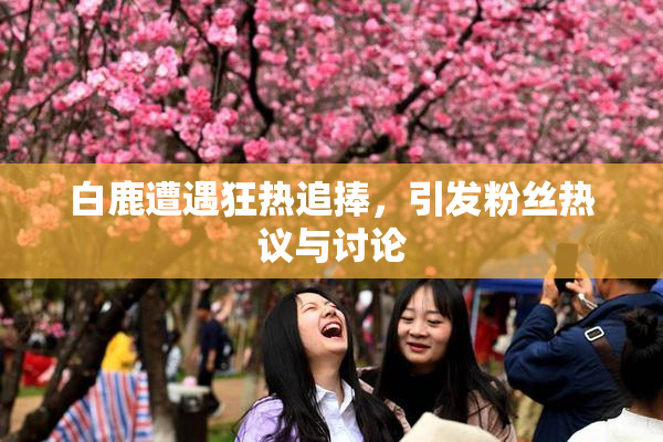 白鹿遭遇狂热追捧，引发粉丝热议与讨论