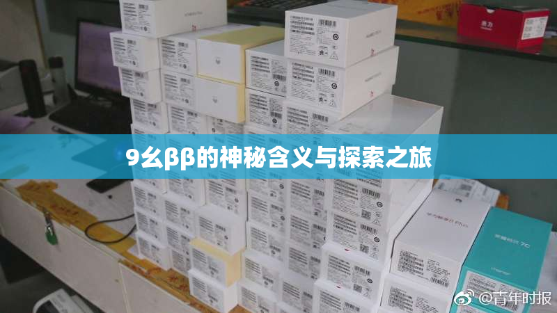 9幺ββ的神秘含义与探索之旅