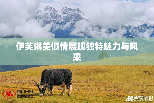 伊芙琳美倾情展现独特魅力与风采
