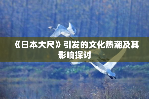 《日本大尺》引发的文化热潮及其影响探讨
