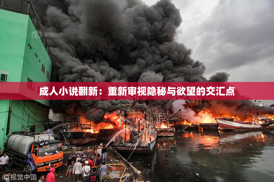 成人小说翻新：重新审视隐秘与欲望的交汇点